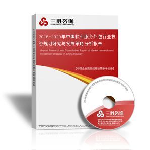 2016-2020年中國(guó)軟件服務(wù)外包行業(yè)投資規(guī)劃與發(fā)展策略分析