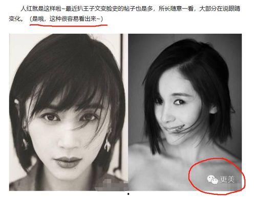 明星黑料最新,明星黑料曝光，真相背后引人深思